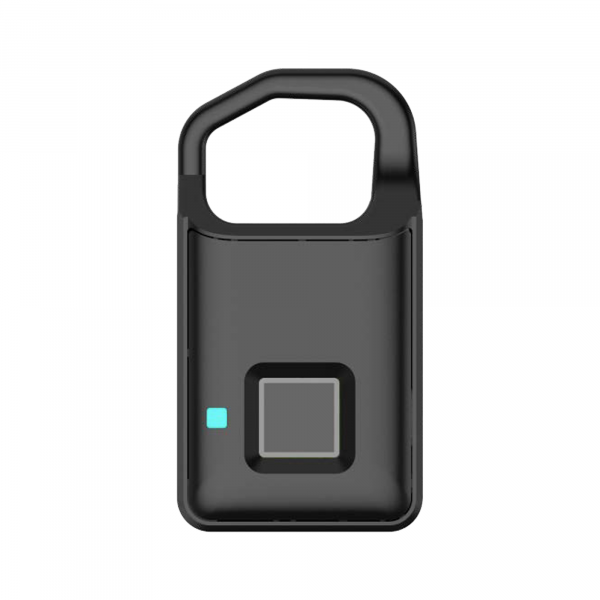 fingerprint travel lock